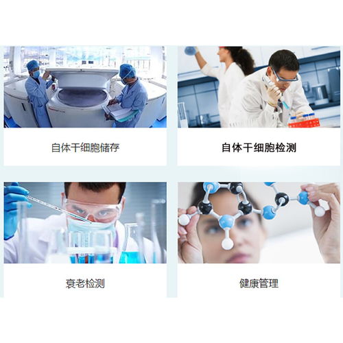 臍帶間充質干細胞保存與河北盛世利眾生物信息咨詢服務解析
