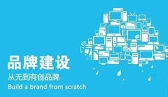 北京企業(yè)網(wǎng)絡(luò)推廣與信息咨詢服務(wù)選擇指南